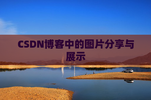 CSDN博客中的图片分享与展示